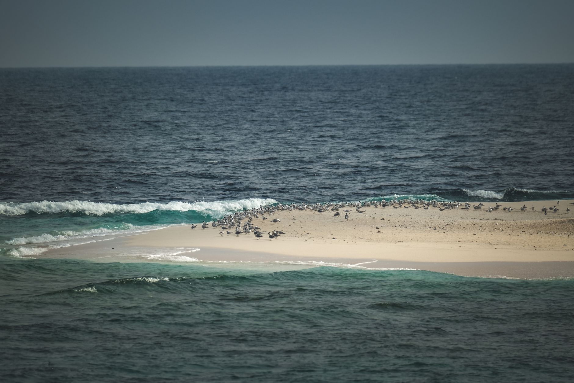 Ocean Channel Sandbar